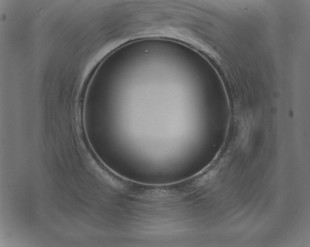 X0000073871517200608170954