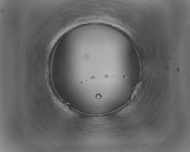 X0000073871518200608170954