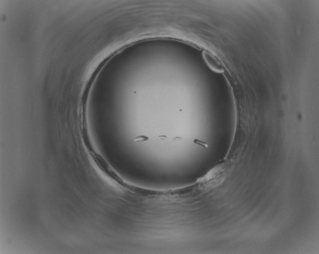 X0000073871519200608170954