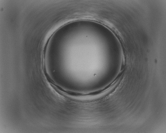 X0000073871520200608170954