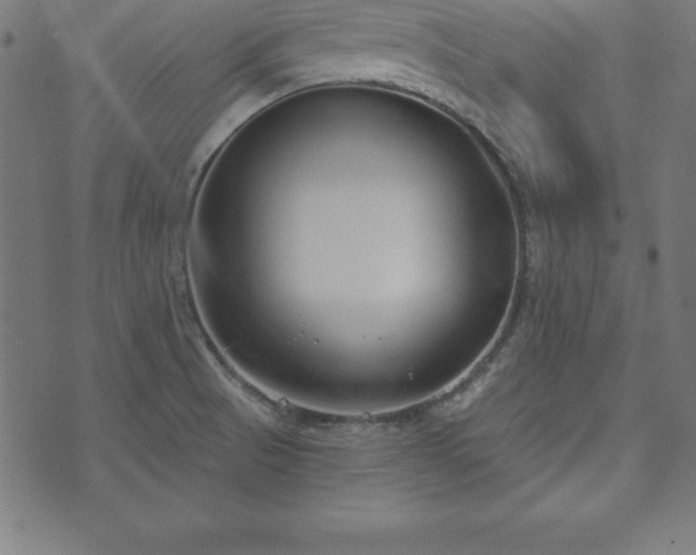 X0000073871521200608170954