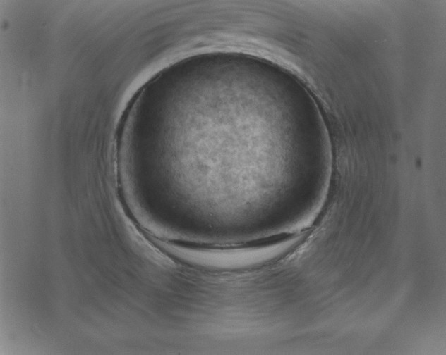 X0000073871522200608170954