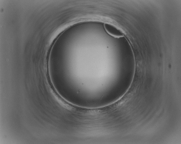 X0000073871523200608170954