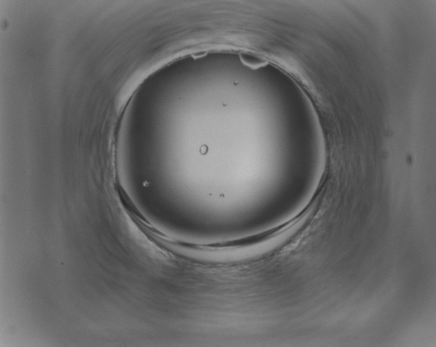 X0000073871524200608170954