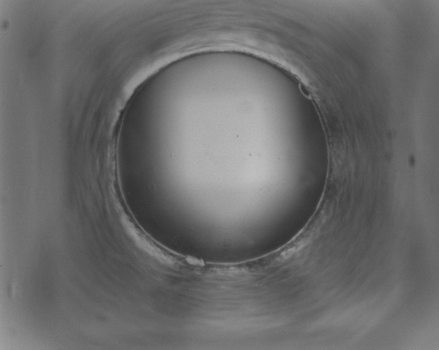 X0000073871526200608170955