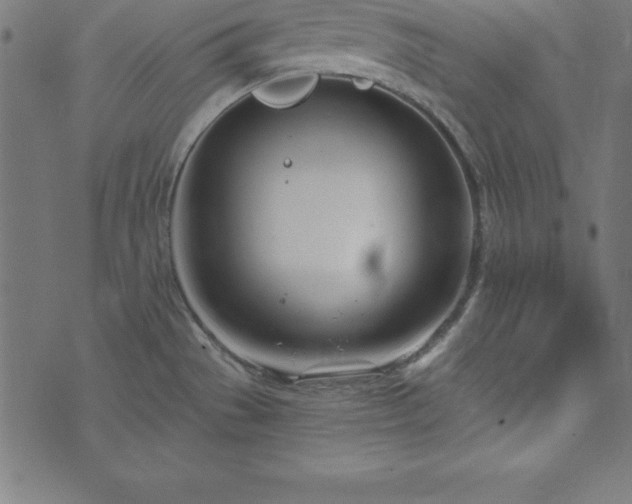 X0000073871529200608170955