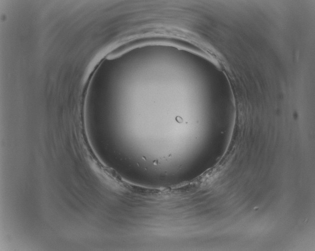 X0000073871530200608170955