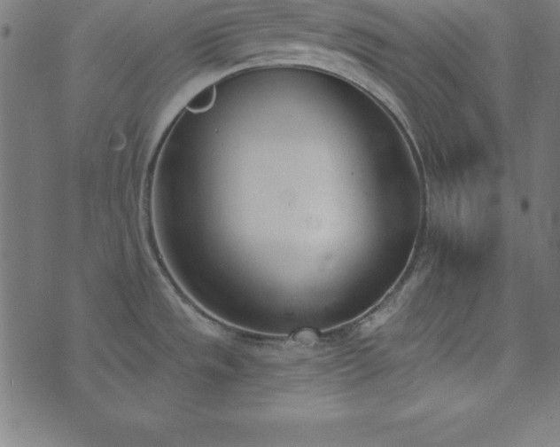 X0000073871533200608170955