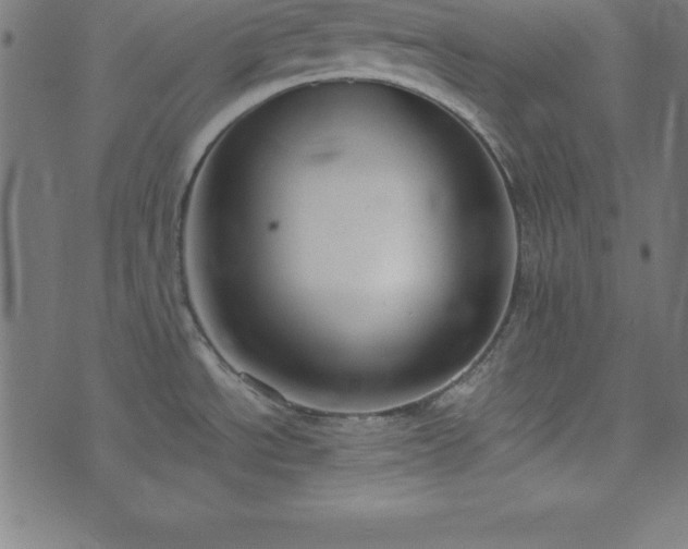 X0000073871534200608170955