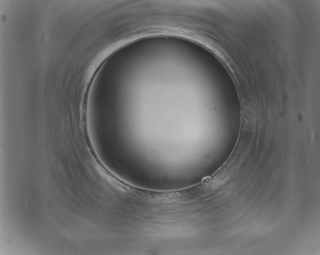 X0000073871535200608170955