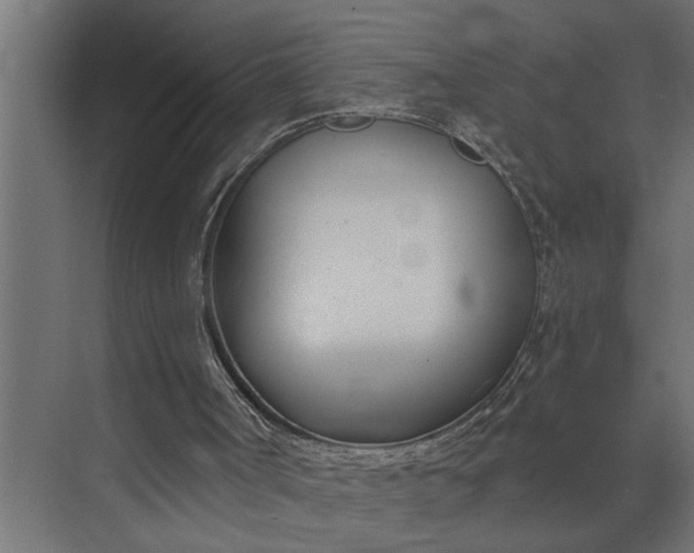 X0000073870002200608241146