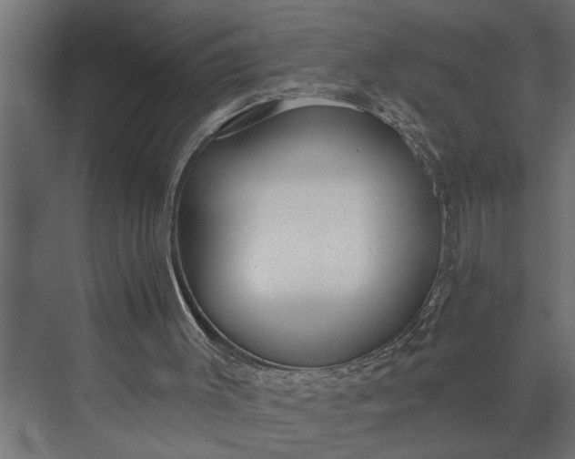 X0000073870003200608241146