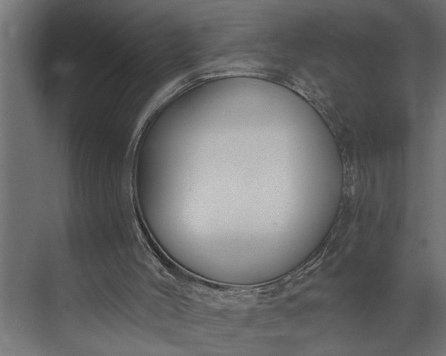 X0000073870004200608241146