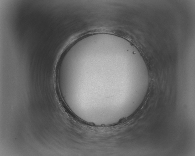 X0000073870006200608241146