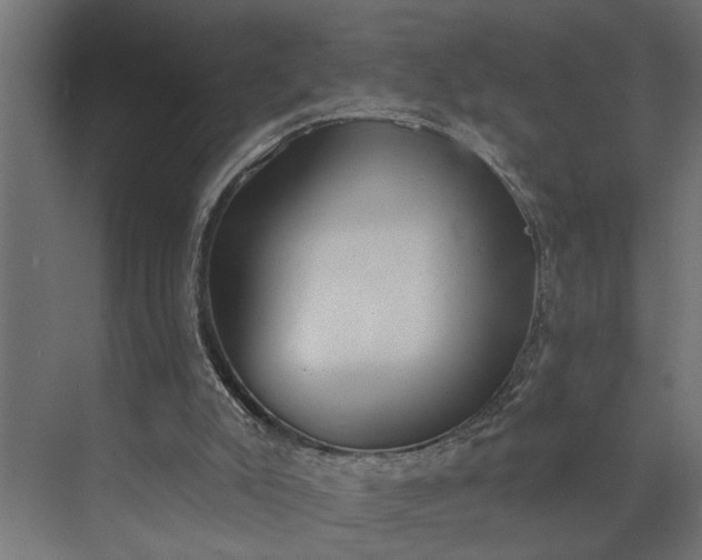 X0000073870007200608241146