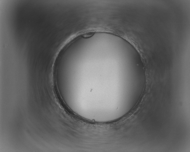 X0000073870008200608241146