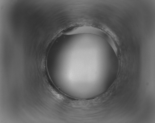 X0000073870009200608241146