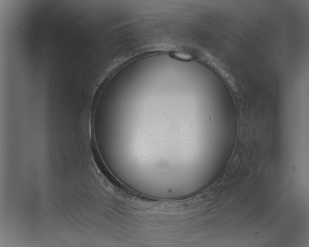 X0000073870011200608241146