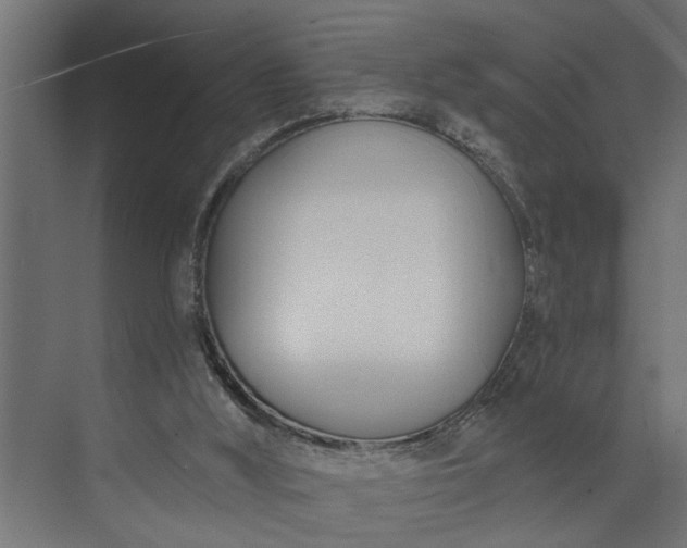 X0000073870012200608241146