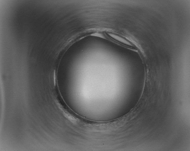 X0000073870013200608241146