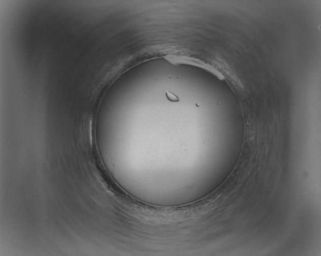 X0000073870014200608241146