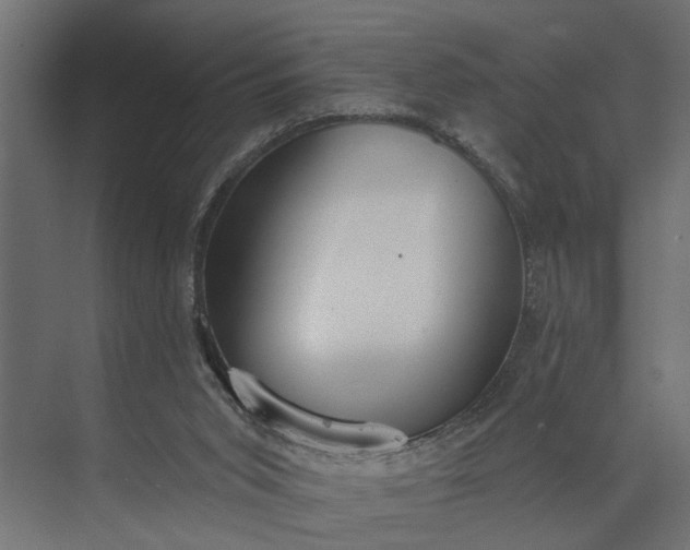 X0000073870015200608241146