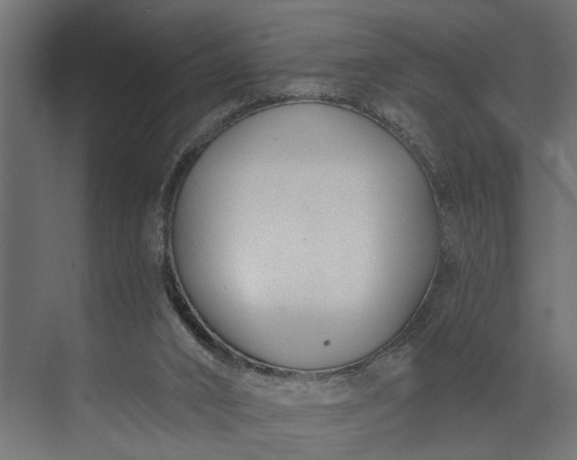 X0000073870016200608241146