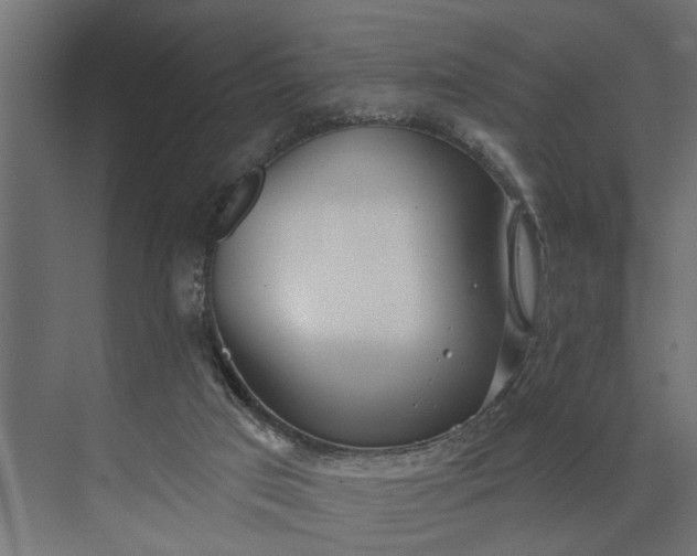 X0000073870017200608241146