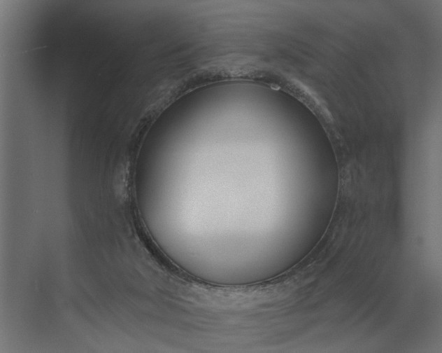 X0000073870018200608241146