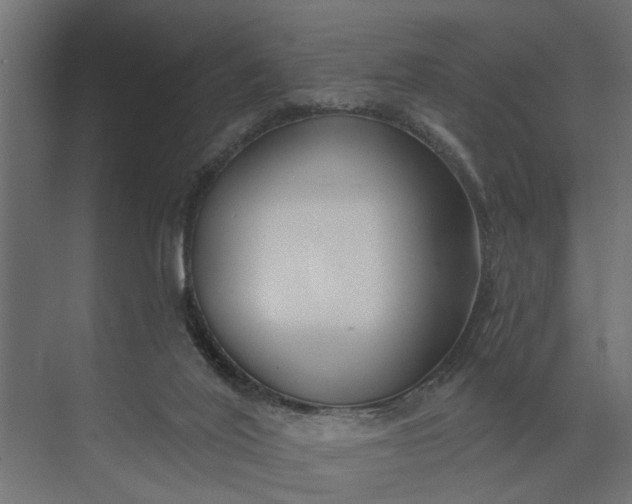 X0000073870020200608241146