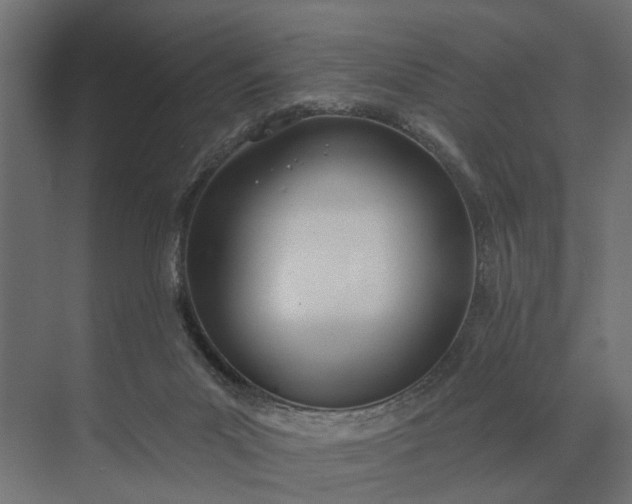 X0000073870023200608241146