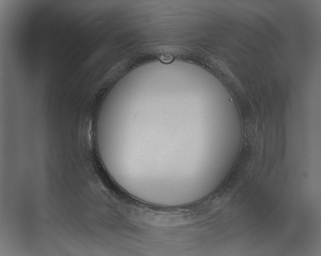 X0000073870024200608241146