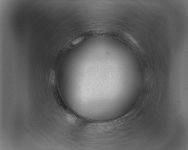 X0000073870025200608241146