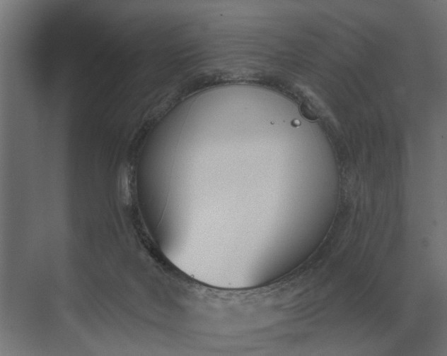 X0000073870026200608241146