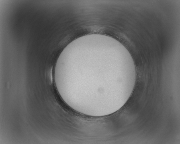 X0000073870028200608241146