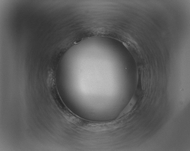 X0000073870029200608241146