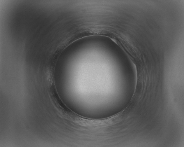 X0000073870031200608241146