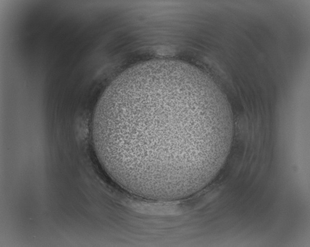 X0000073870032200608241146