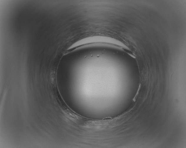 X0000073870033200608241146