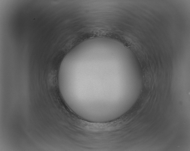 X0000073870034200608241146