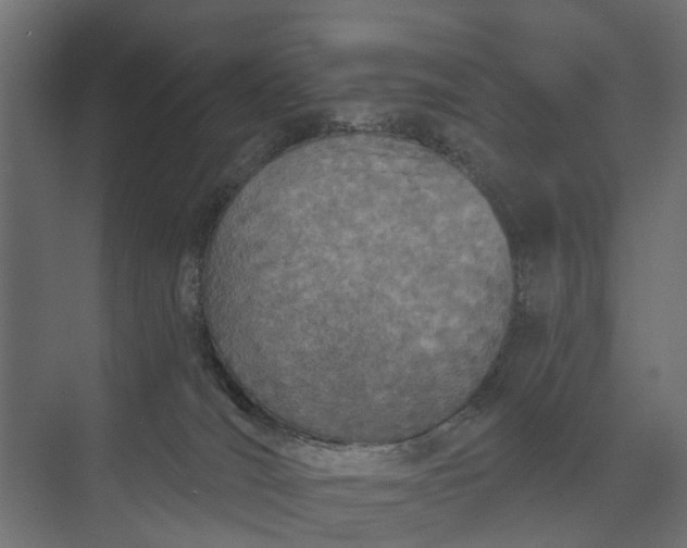 X0000073870036200608241146