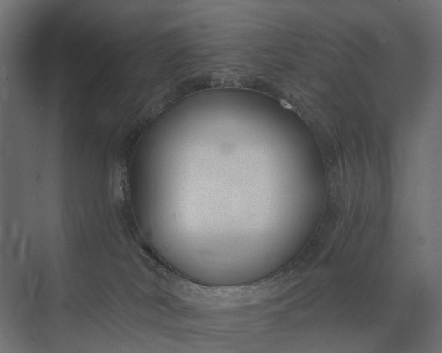 X0000073870038200608241146