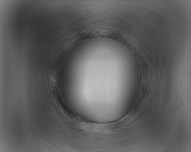 X0000073870040200608241146