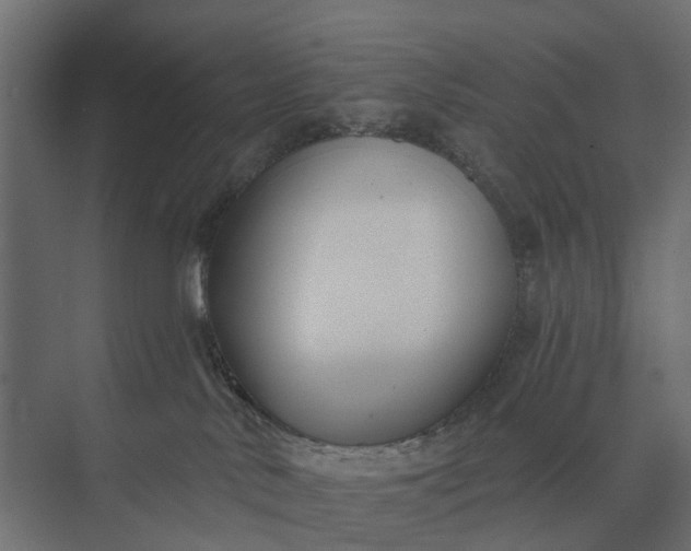 X0000073870042200608241146