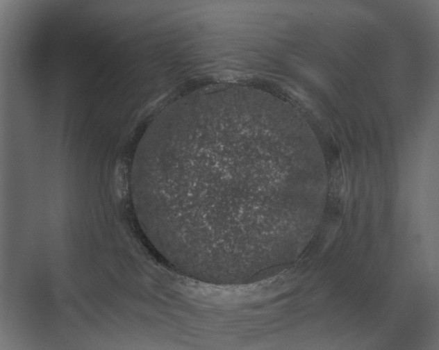 X0000073870043200608241146