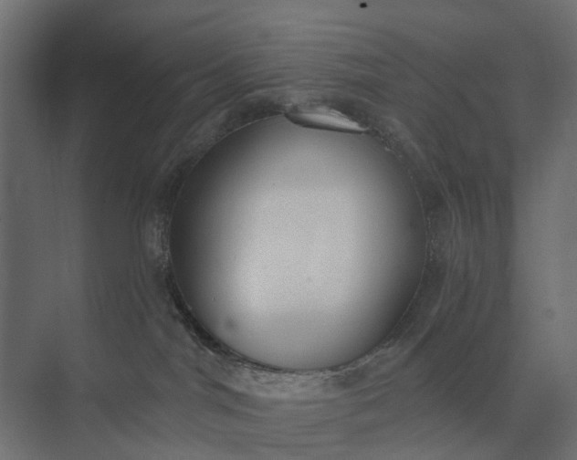 X0000073870044200608241146