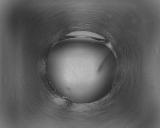 X0000073870045200608241146