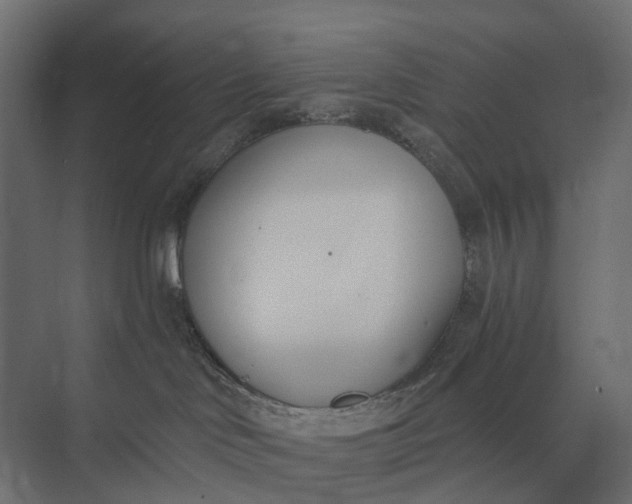 X0000073870046200608241146