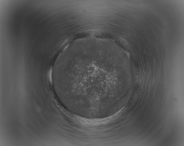 X0000073870047200608241146