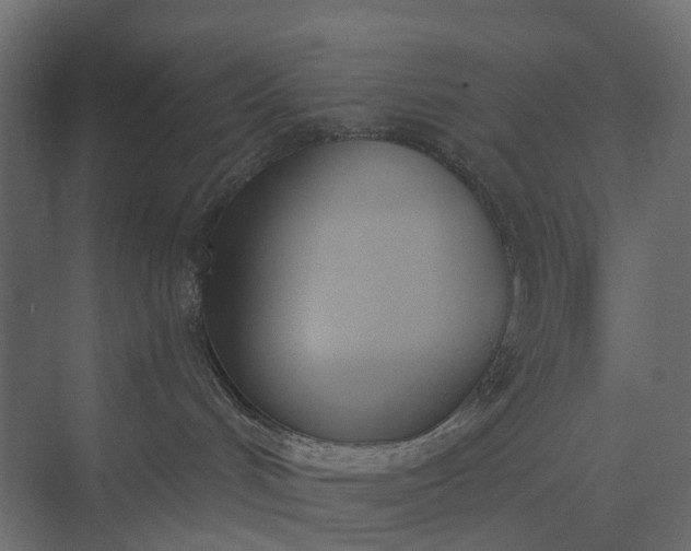 X0000073870048200608241146